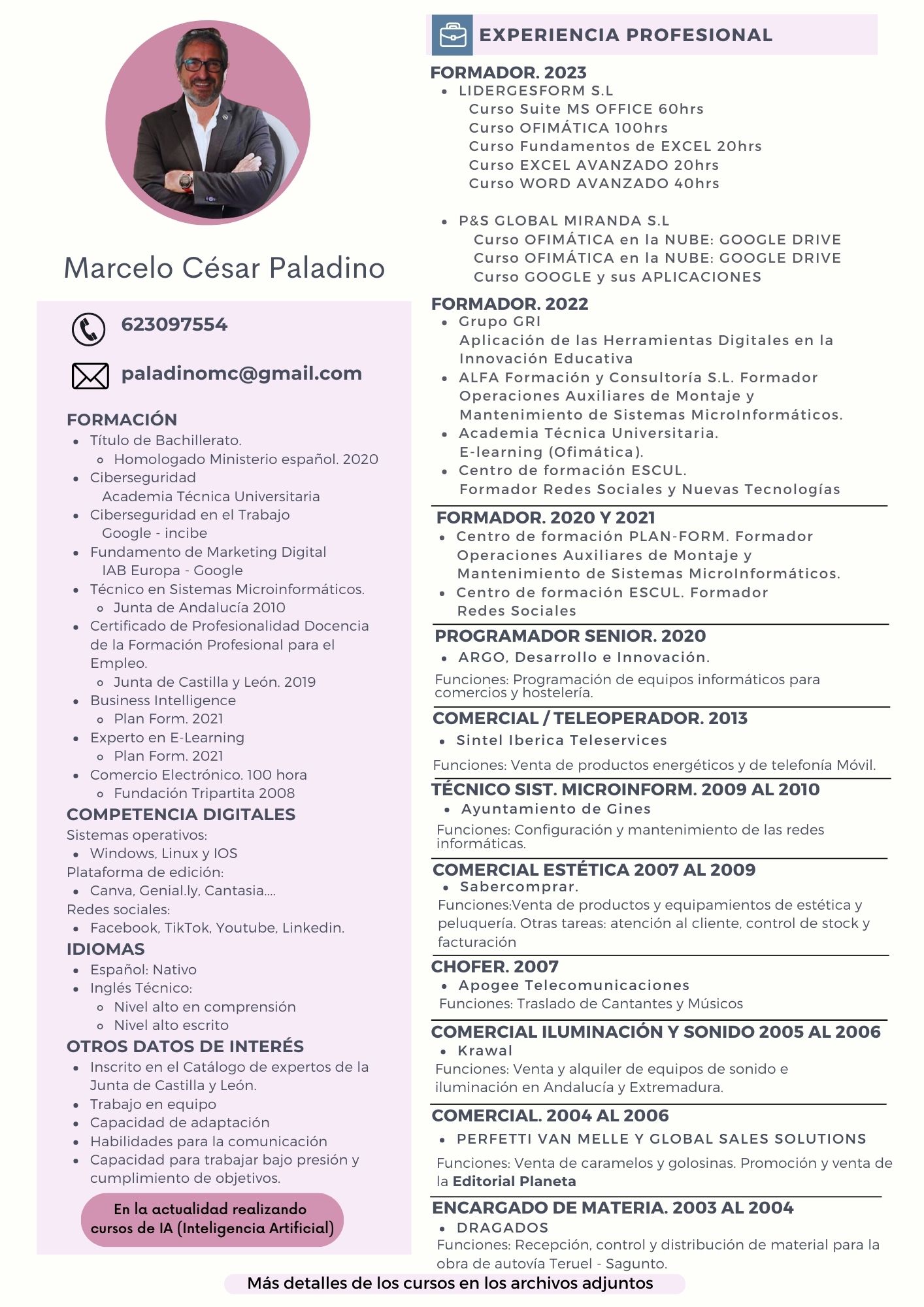 Curriculum Marcelo Paladino